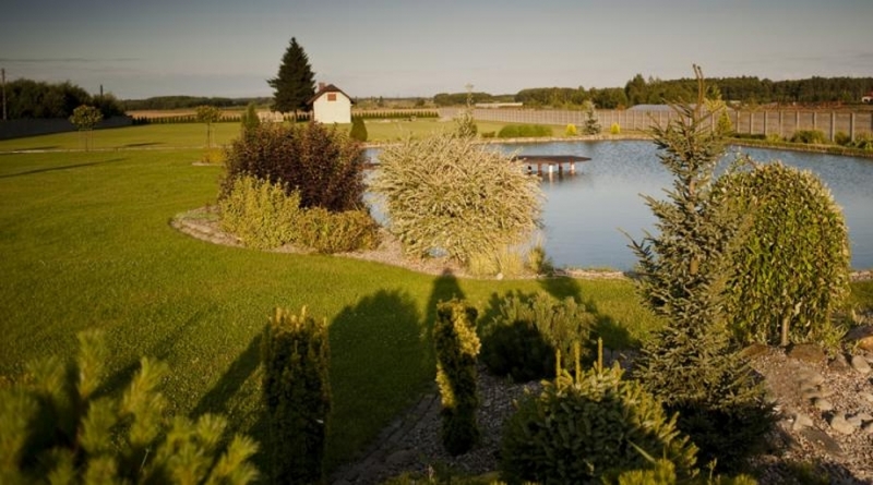 Nuestro vivero de plantas