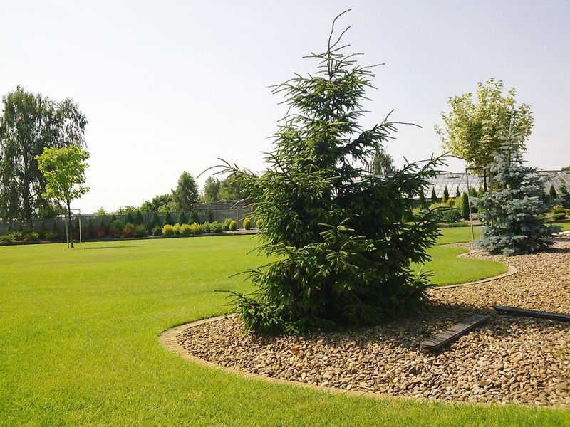 Centro de Jardinería